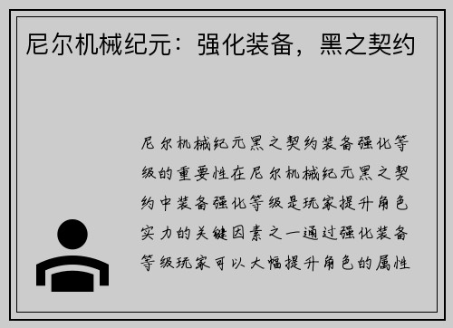 尼尔机械纪元：强化装备，黑之契约